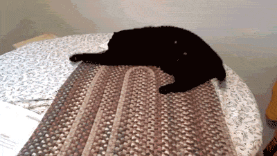 tableclothcat