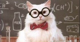 Chemistry_Cat_Funny_memes and puns
