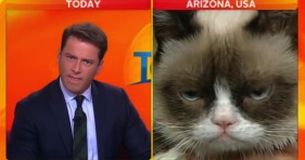 today-show-grumpy cat-cats-karl stefanovic-interview