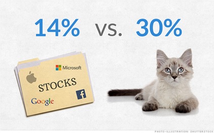 cute cats kittens running the world-money-stocks