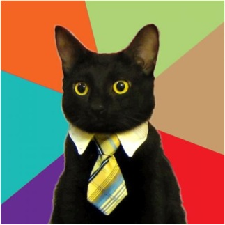 business cat meme blank funny necktie