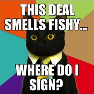 business cat meme deal smells fishy lol