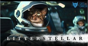 interstellar litterstellar movie parody cute cats lol funny