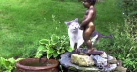 cat drinks from peeing statue