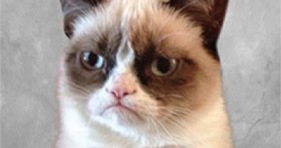 hilarious 2015 grumpy cat funny meme
