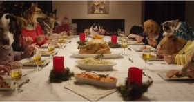 kittens cats epic adorable holiday dinner