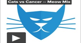 awesome 8tracks cats vs cancer meow mix