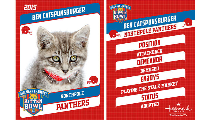 ben catspunburger quarterback cute cats