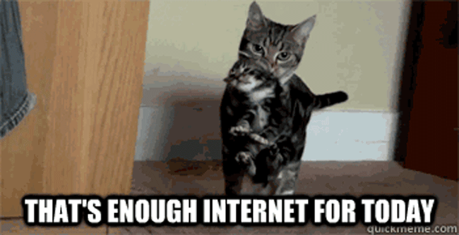cat says enough internet for the kitten