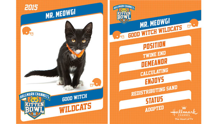 mister meowgi football kitty