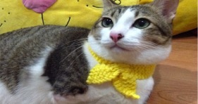 two-legged kitty cute yellow bow ties