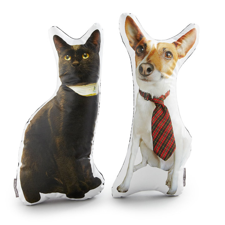 Gifts for cat lovers