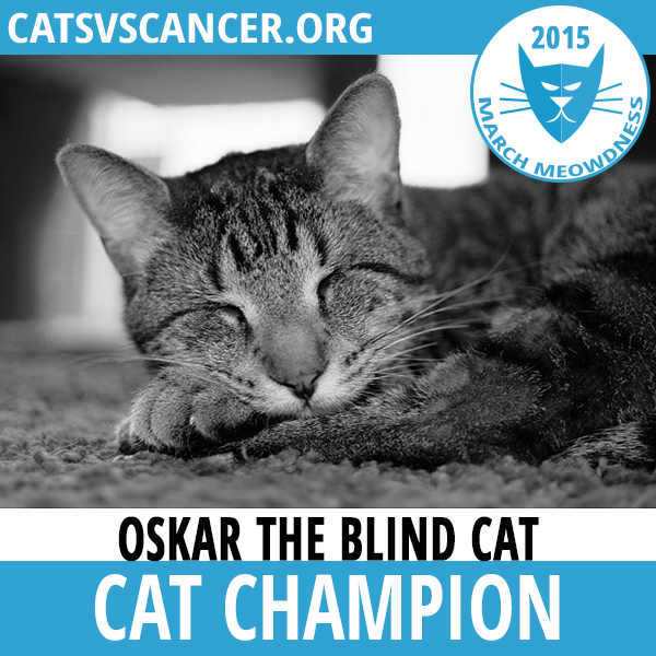 oskar Cat-Madness-Tourney-Champion-Oskar