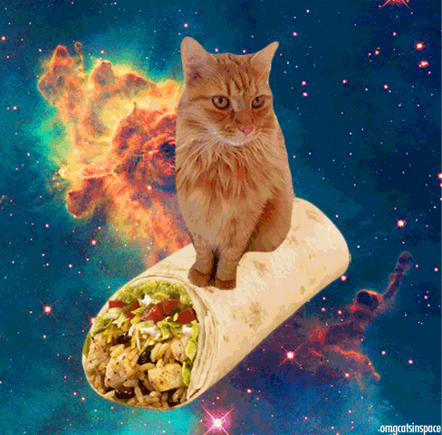 breakfast burrito space cat