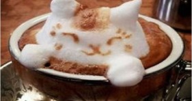 cup of joe kitty marshmallow coffee