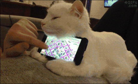 iphone kitten lolcats technology cat