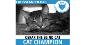 March Meowdness Champ Oskar The Blind Cat