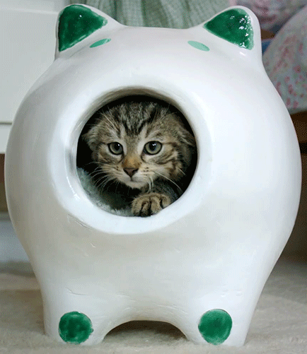 kitten in cat ceramic adorable