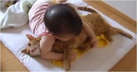 chill cat lets baby do wwe moves