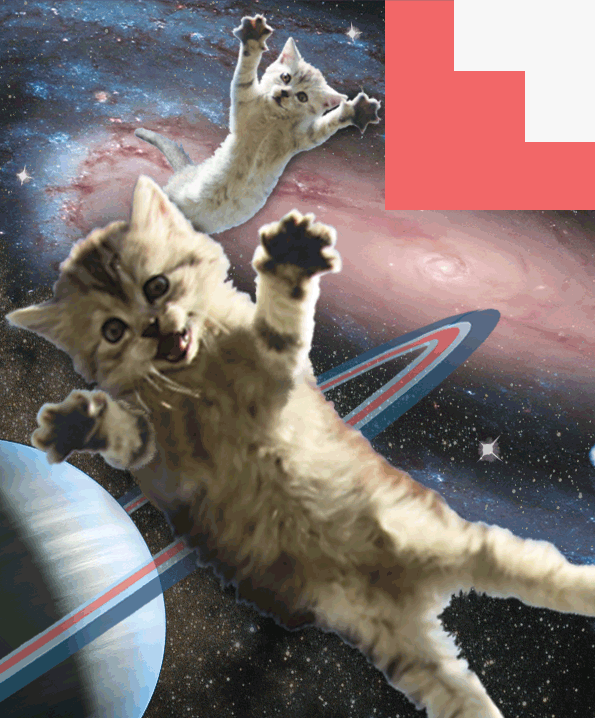 goodbye space kittens