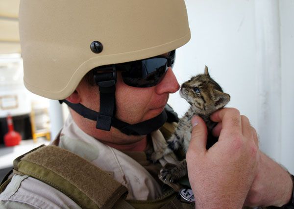 soldiers-with-kittens-memorial-day