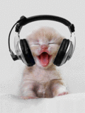 adorable headphone kitten