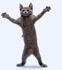 broadway musical cats dancing caturday
