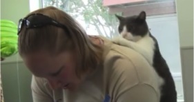 cat scratch my back, i scratch yours