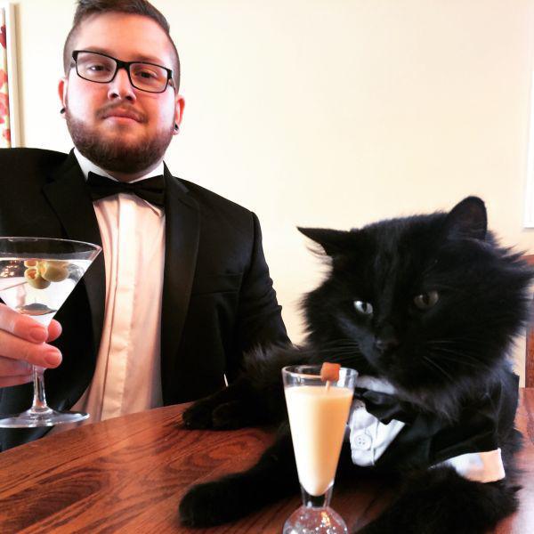 caturday fancy cats in suits