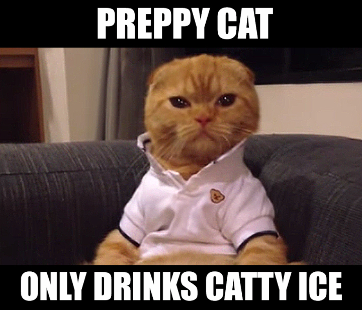 Preppy Cat Meme CATTY ICE