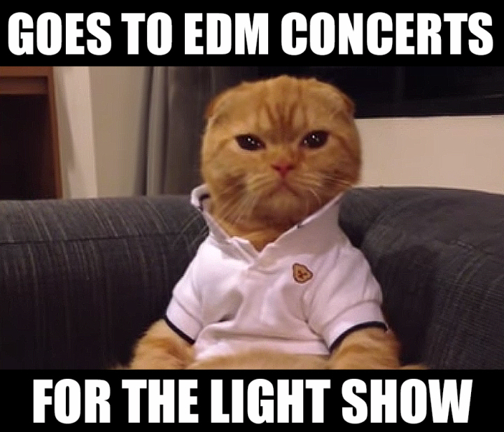 Preppy Cat Meme EDM CONCERTS