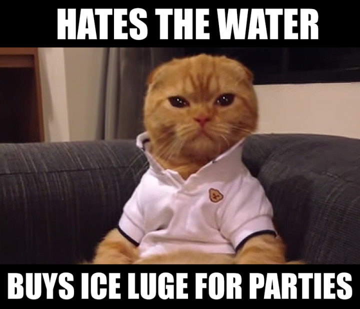 Preppy Cat Meme Ice Luge