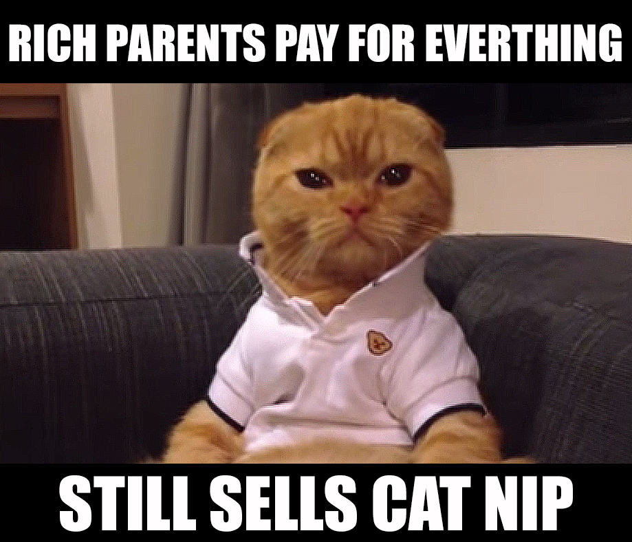 The 10 Best Preppy Cat Memes - Cats vs Cancer