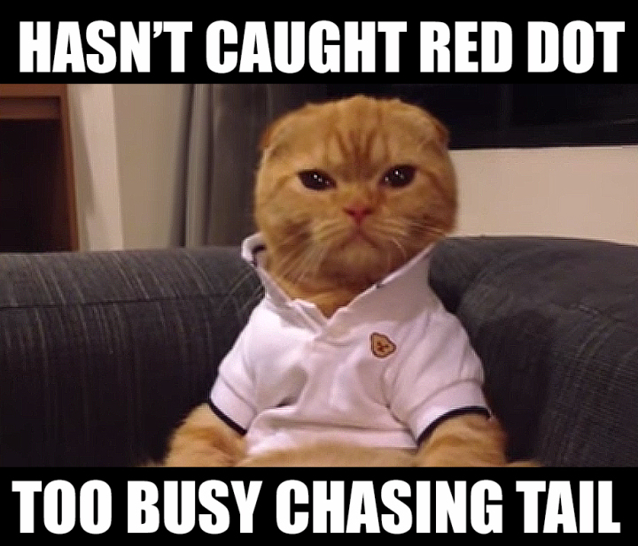 Preppy Cat Meme Red Dot