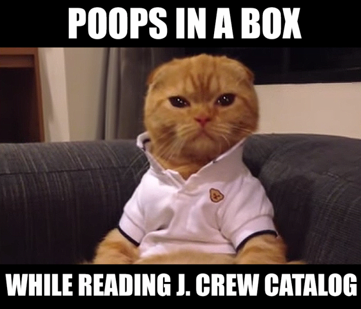Preppy Cat MemeJ CREW