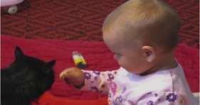cute baby feeds furbaby cat cookies