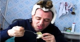 kitten eats breakfast atop human's head