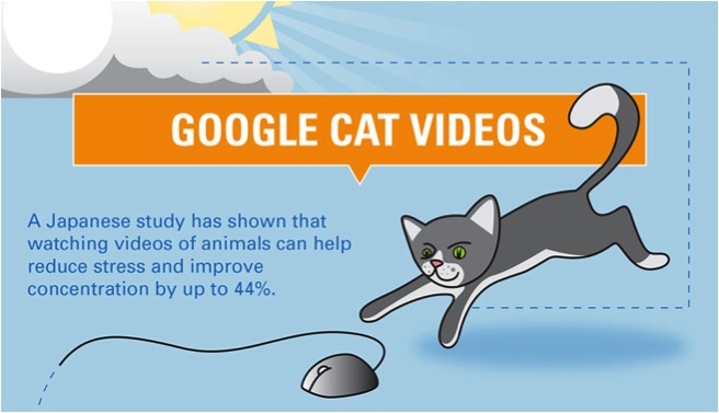 feel good by googling cat videos