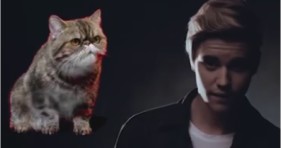 cats vs cancer justin bieber music parody