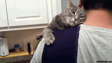 Man holds cat like a baby