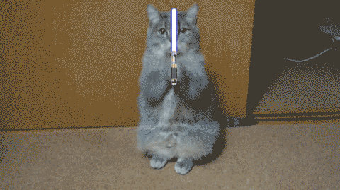 caturday jedi cat light saber