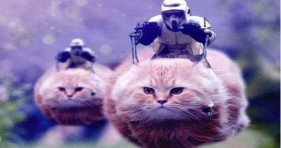 funny star wars storm trooper cats
