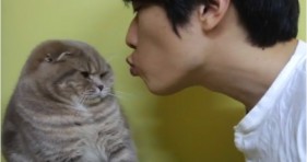 mean cats don't want kisses