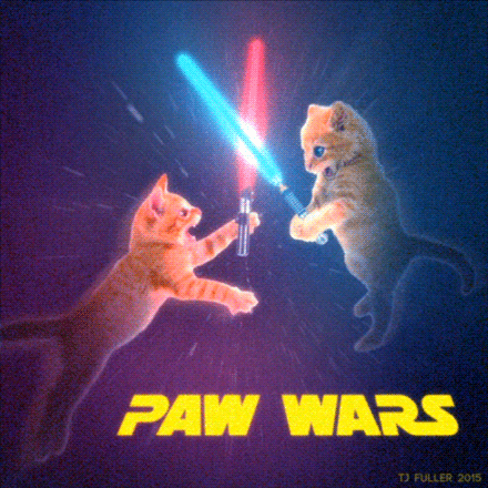 star wars cats paw wars lolcats