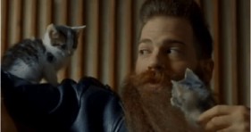 adorable kitten beard caturday