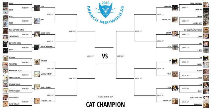 Cat-Madness-Tourney-2016-Round-2