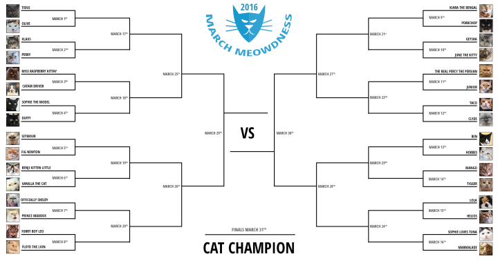 Cat-Madness-Tourney-2016-final