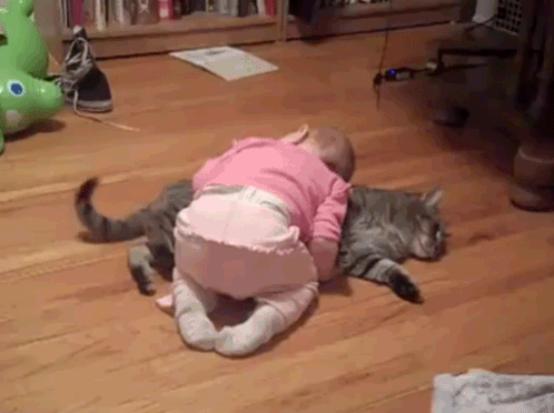 baby and cat sleep adorable snuggle