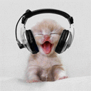 headphones cute music cats caturday
