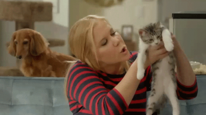 amy schumer kitty and dog love caturday unlikely friendship